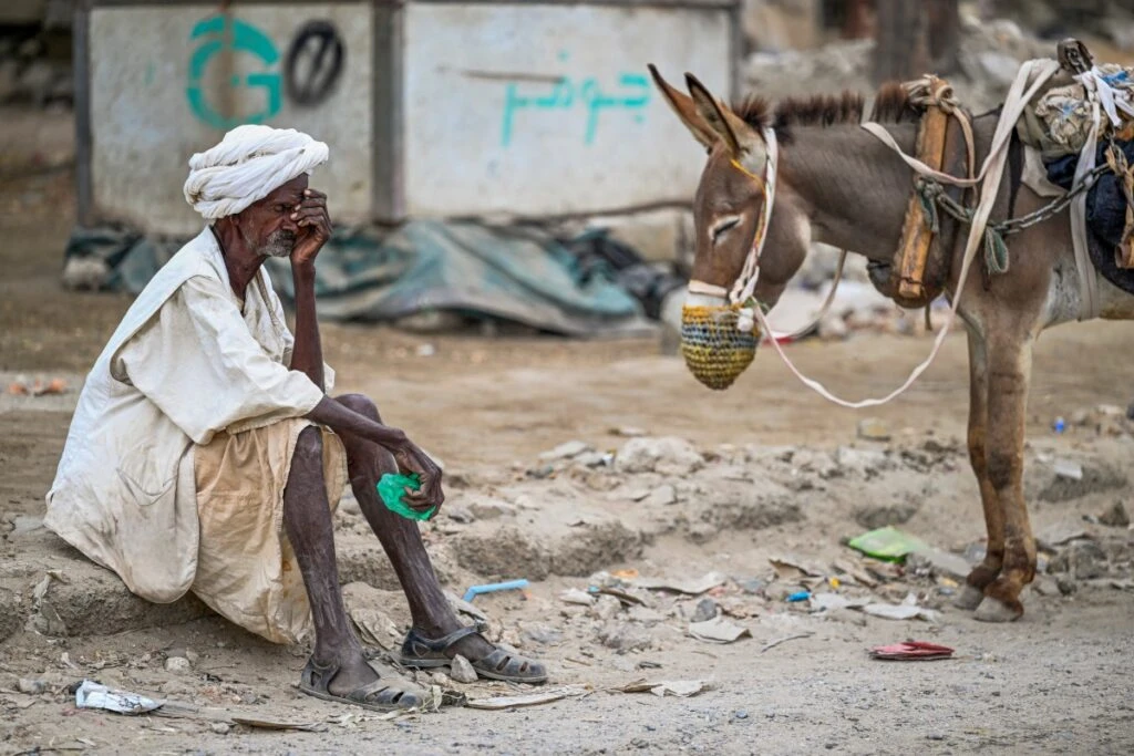 Sudan one of world's 'worst crises' in decades: medical charity