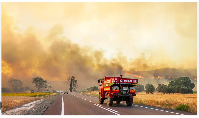 Turkey wildfire kills 12 and devastates flocks