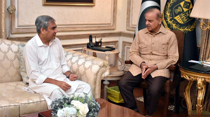 Interior Minister calls on PM Shahbaz to discuss political and security situation