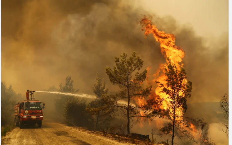 Turkey wildfire toll hits 15 as experts flag faulty wires