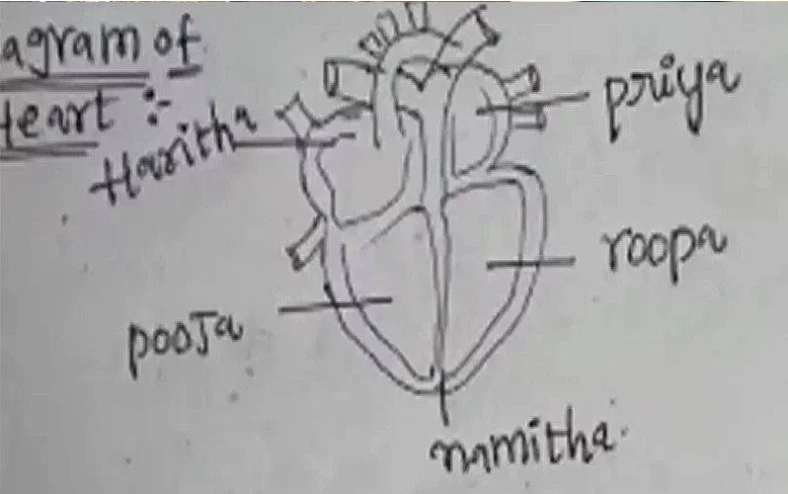 A heart with numerous ‘sweethearts’ in exam