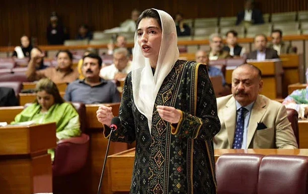 Aseefa Bhutto Zardari declines salary and allowances as National Assembly member