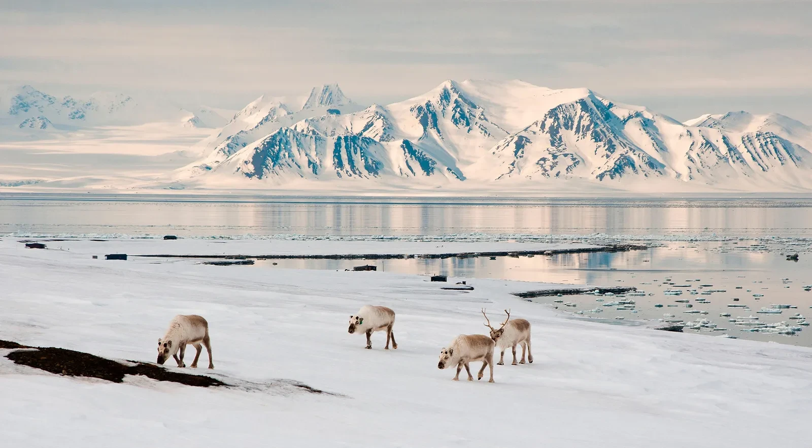 Norway blocks unique real estate sale in Arctic Svalbard