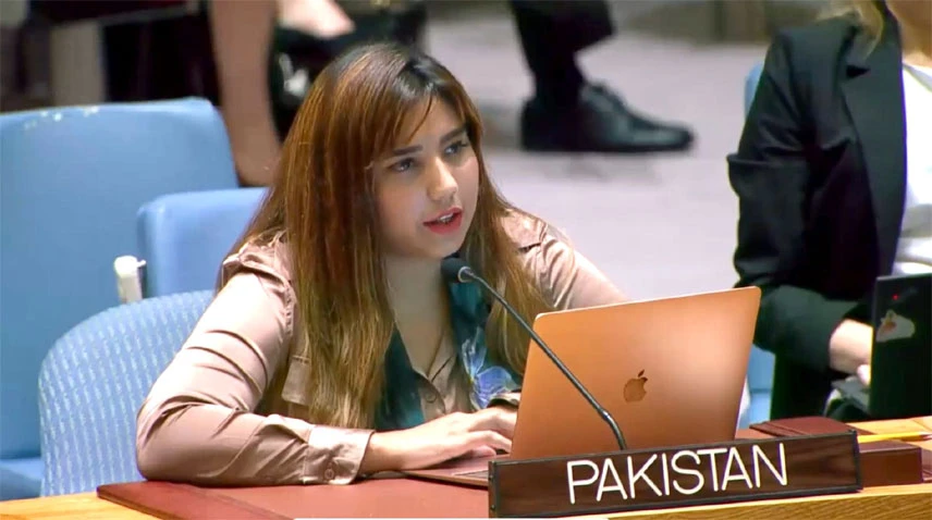 Pakistan rejects illegal annexation of IOJ&K, demands self-determination under UN resolutions