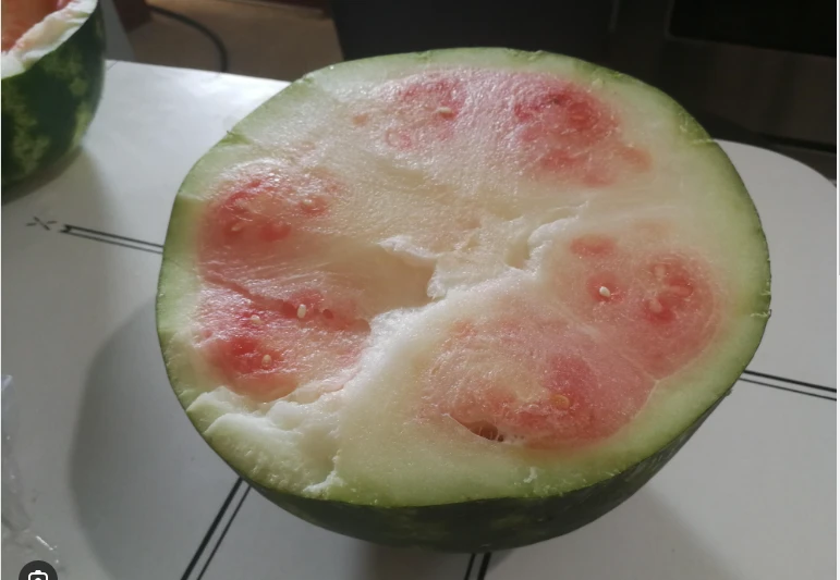 Police scramble best unit after emergency call about watermelon