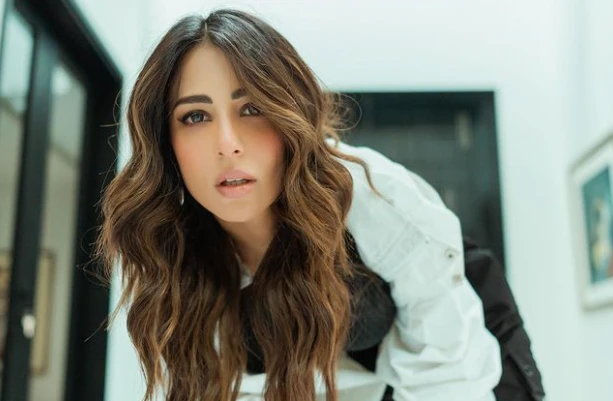 Oh no! Netizens could not digest Ushna Shah in shorts again