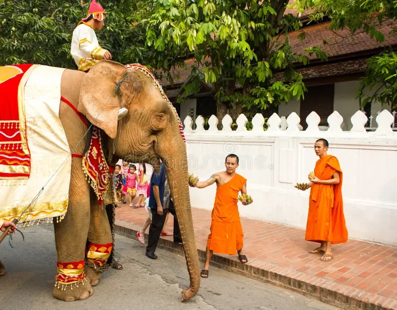 Sri Lanka pilgrims flee as elephant runs amok