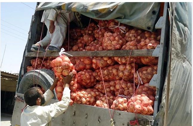 Afghan traders send first-ever onion shipment to India via Pakistan