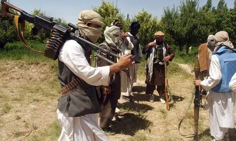 UN Report reveals TTP emerges as largest terror group in Afghanistan