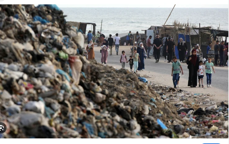 Flies and mosquitoes feast on Gaza's waste crisis