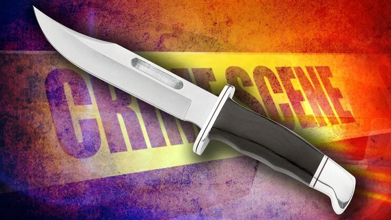 Disobedient son stabs to injure father on asking to earn money