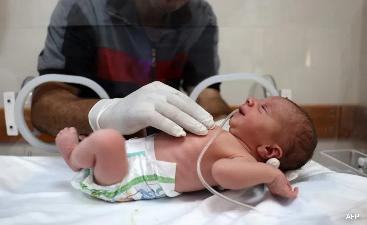 Gaza hospital rescues newborn from mother's lifeless body