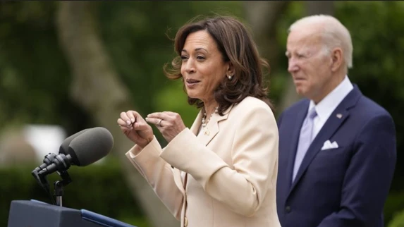 Democratic delegates go in favour of Harris to replace Biden