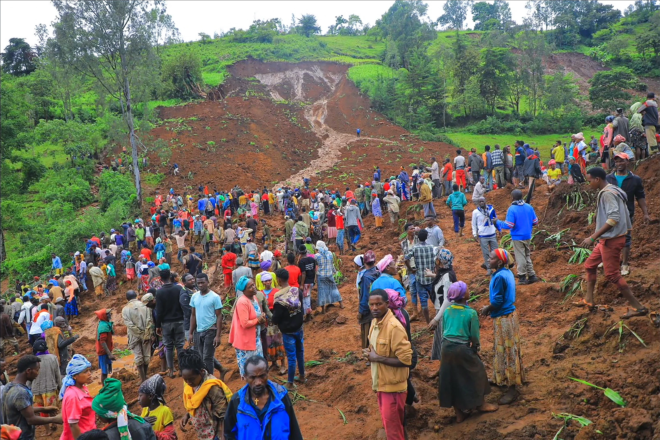 Ethiopia mudslide death toll reaches 229