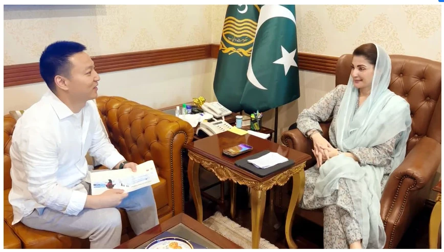 Huawei Deputy CEO takes up Punjab digital issues with CM Maryam