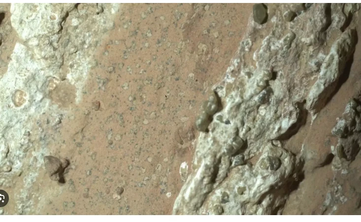 NASA Mars rover captures rock that could hold fossilized microbes