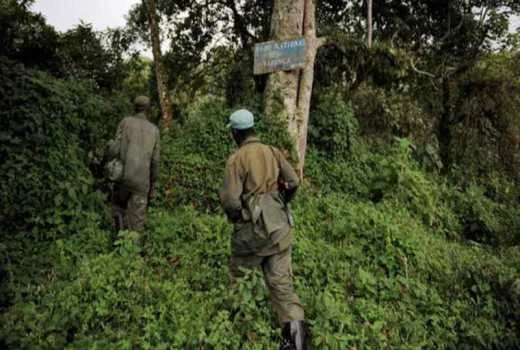 Five rangers, 7 soldiers killed in Benin national park: NGO