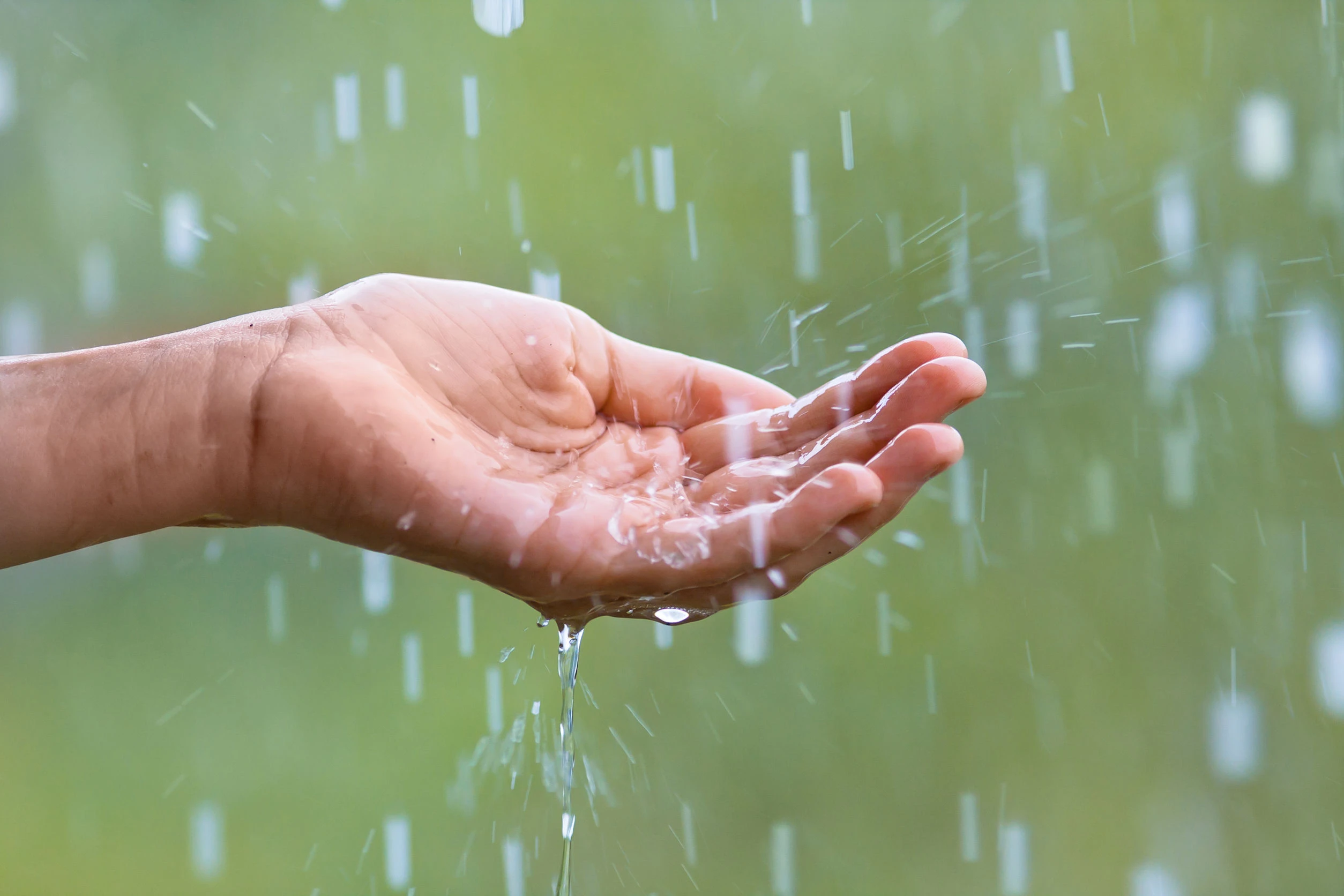 Heavy rain forecast for next 24 hours