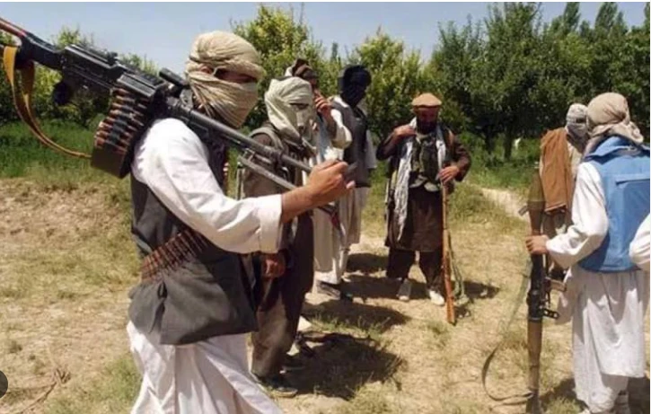 UN report highlights TTP-Afghan Taliban collaboration in growing attacks inside Pakistan