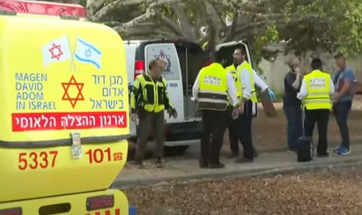 Two dead in Israel stabbing, assailant killed: medics