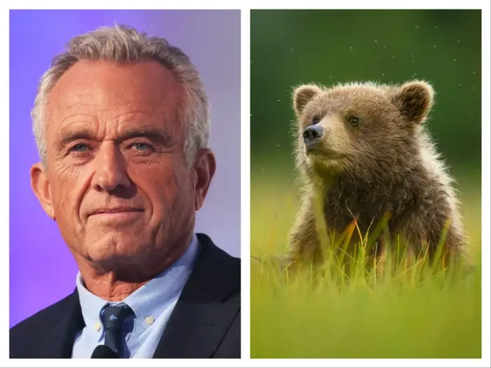 RFK Jr: I dumped dead bear cub in Central Park