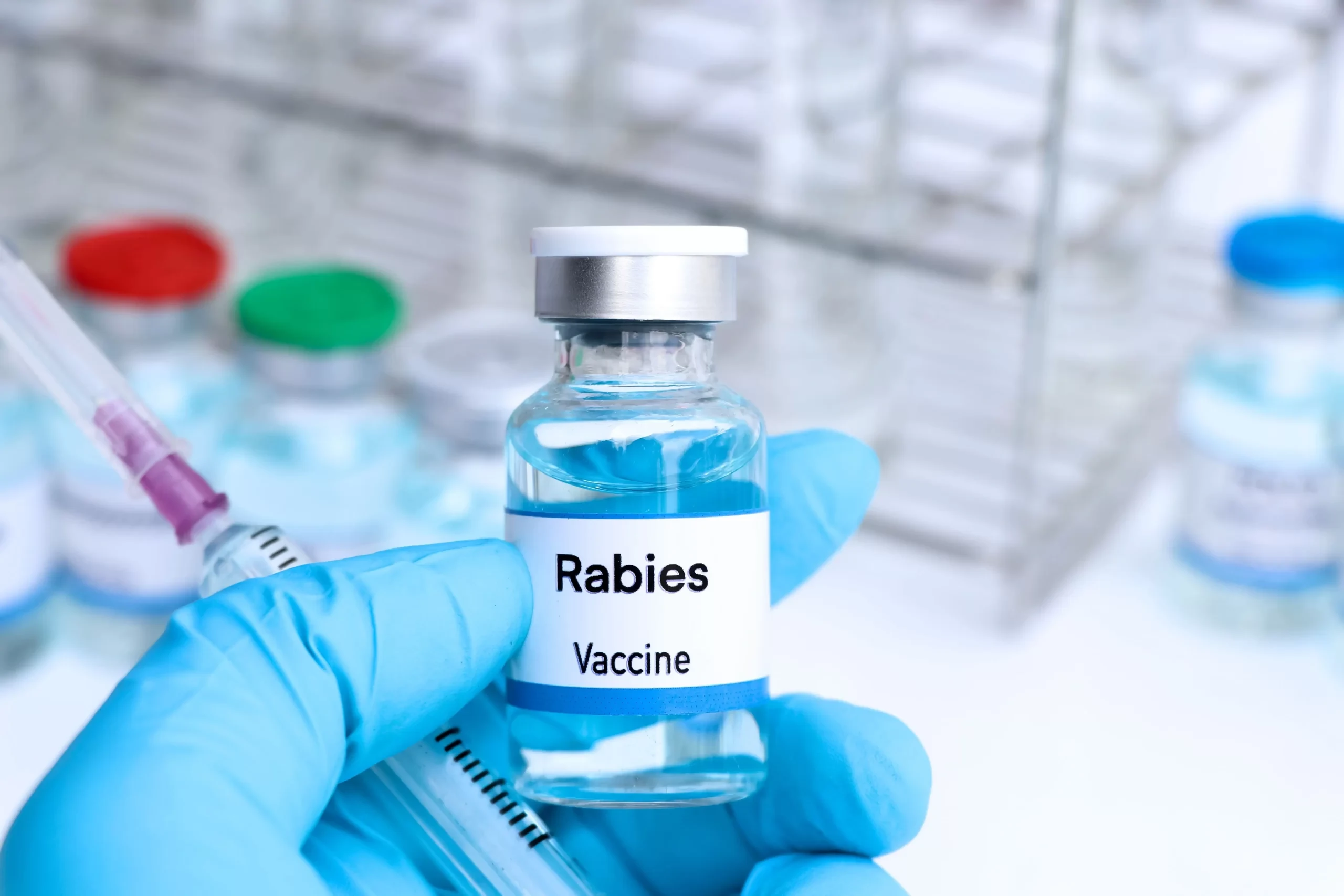 Price of anti-rabies vaccine set to more than double