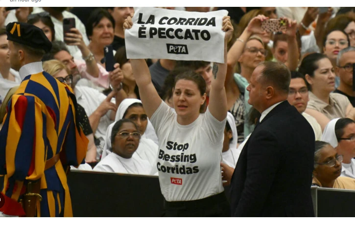 Activists against bullfighting disrupt pope's audience