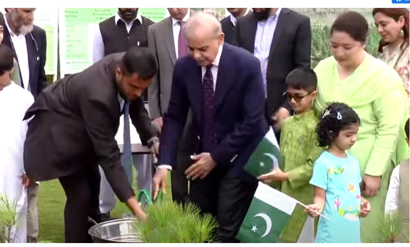 PM Shehbaz directs planting 100 million saplings across country