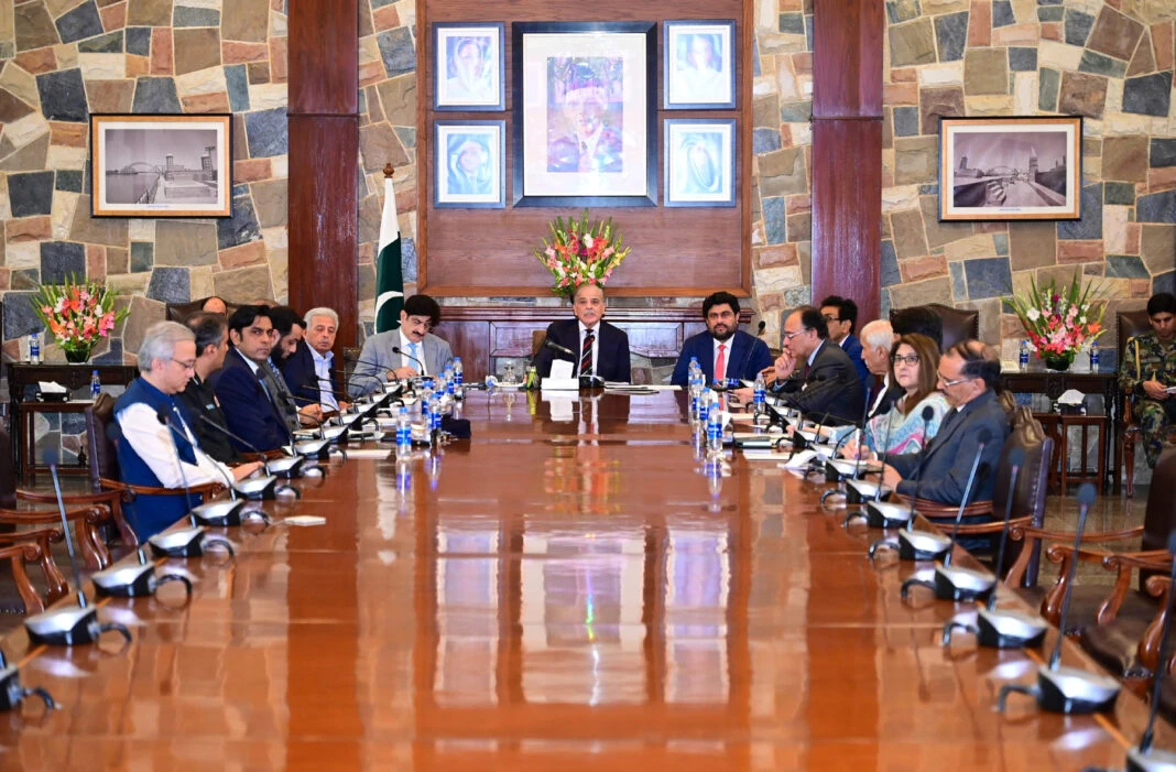 Karachi visit : PM Shehbaz meets Chinese delegation, Sindh CM, reviews meeting on anti-polio