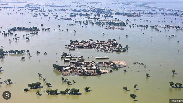 Crops destroyed, hundreds of homes flooded after River Indus burst its banks in Muzaffargarh