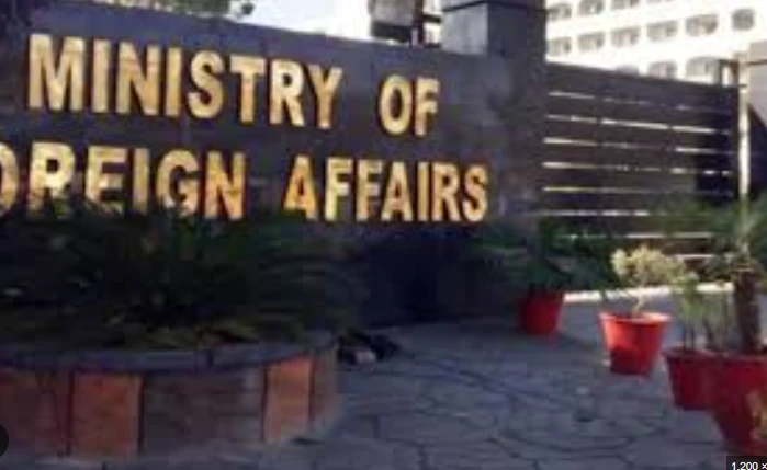 Foreign Ministry changes visa rules after 'misuse' by Senate, NA staff