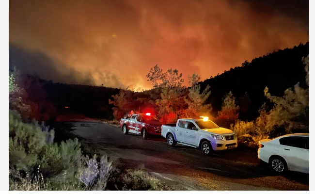 Forest fire forces evacuations in Turkish resort