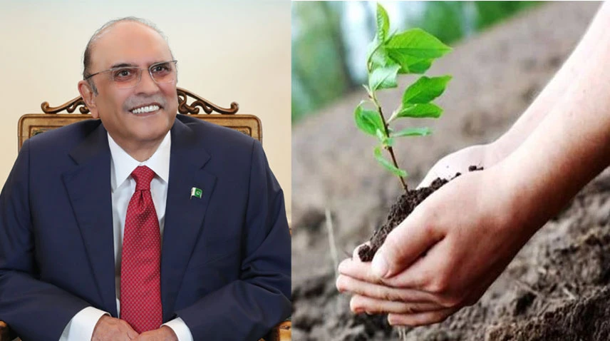 President urges citizens to actively participate in Monsoon Tree Plantation Campaign