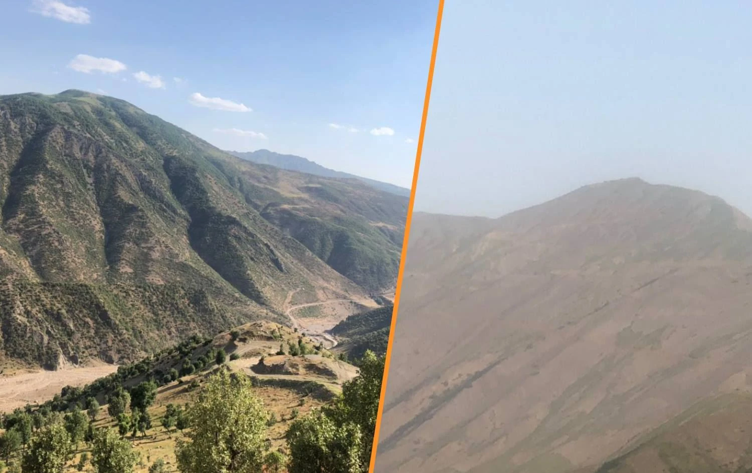 Saving the vanishing forests of Iraq's Kurdistan