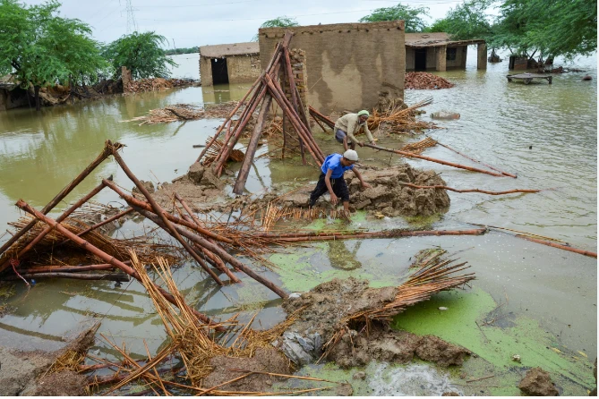 Three people die, 11 injured in rain-related incidents in Sindh, KP