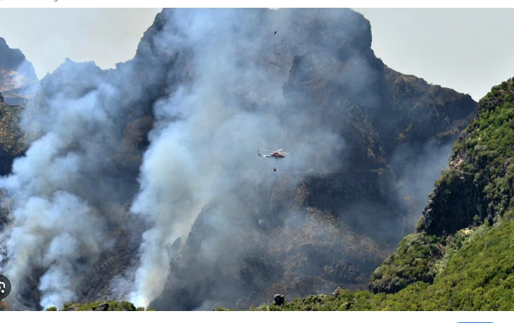 Portugal seeks EU help as wildfire threatens UNESCO-listed forest