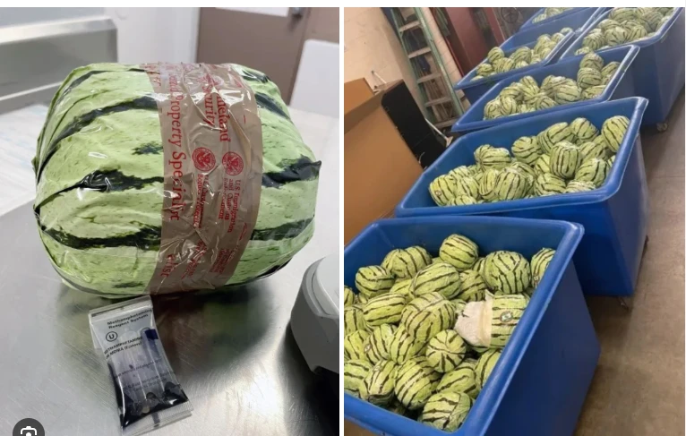 Smugglers disguise meth as melons in US