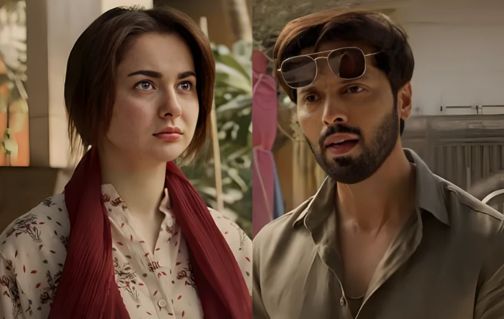 Rabia Anum’s honest feedback on Hania-Fahad Mustafa's great performance in latest serial