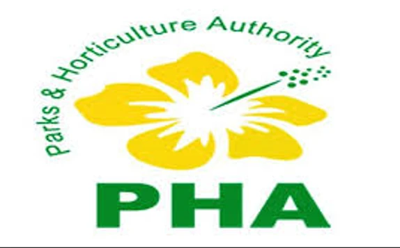 Punjab govt decides to establish PHA in all districts of province