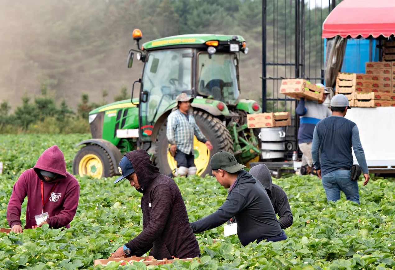 Canada announces reduction in temporary foreign worker permits