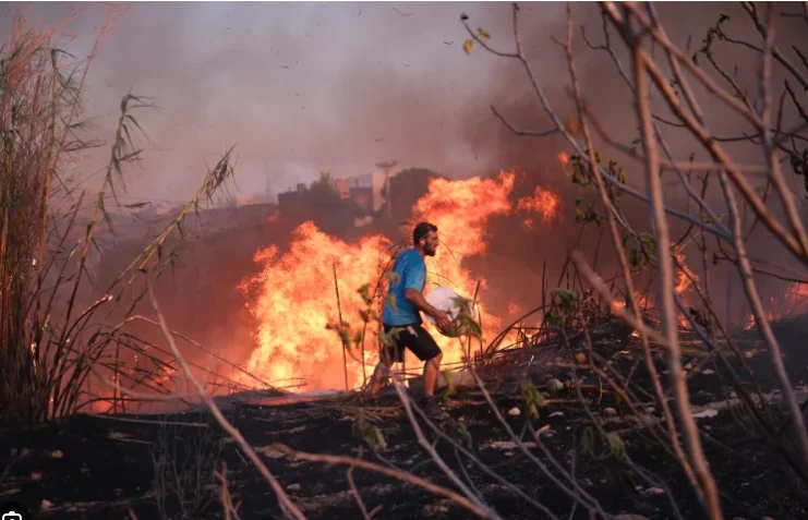 Athens faces new dangers as forest fires edge closer