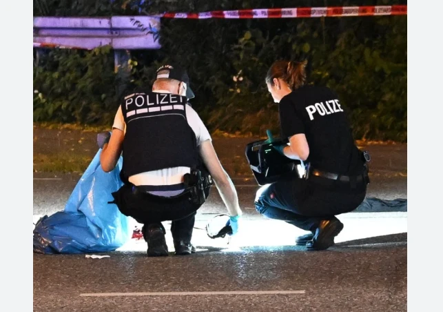 Woman wounds five people in Germany bus stabbing