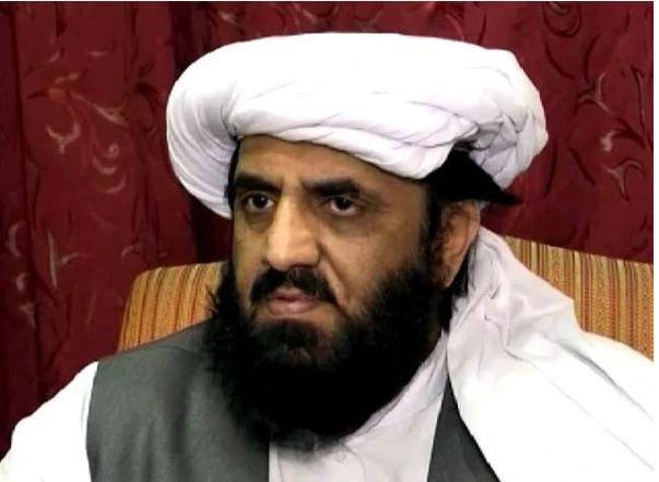 JUI-F will neither join nor support govt, Says Hafiz Hamdullah