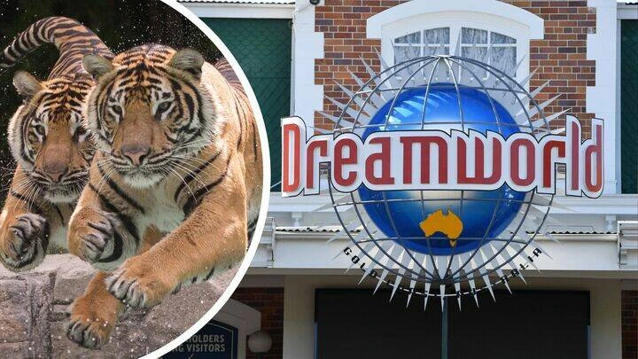 Tiger mauls handler at Australian theme park