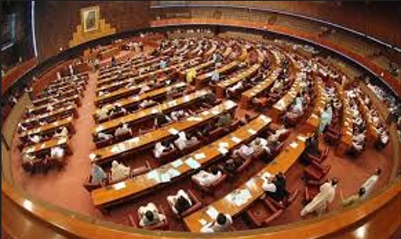 NA passes Peaceful Assembly and Public Order Bill 2024