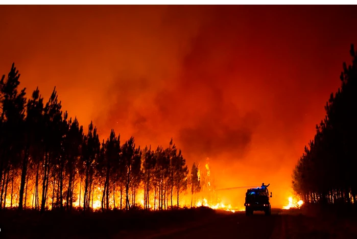 German emergency services tackle massive forest fire