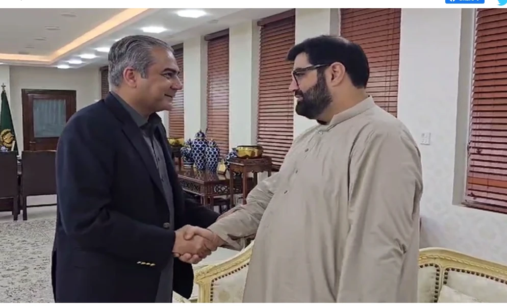 Interior minister, ANP chief discuss steps to establish peace in KP