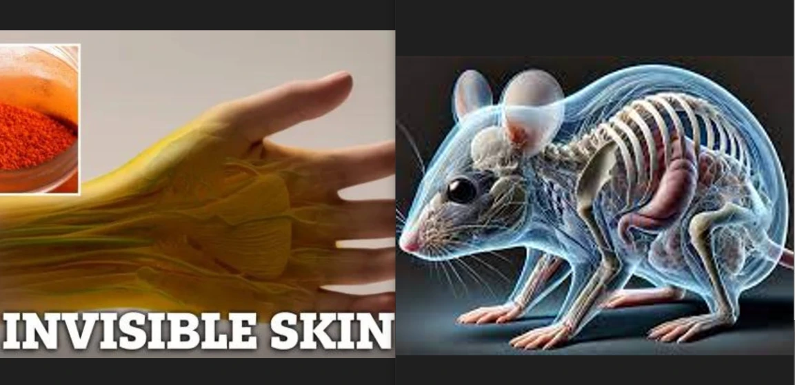 Revolution in Medical Sciences: Scientists turn skin transparent with Yellow5 colour