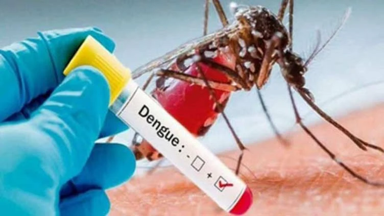 Dengue cases surge in Punjab, 32 reported in last 24 hours