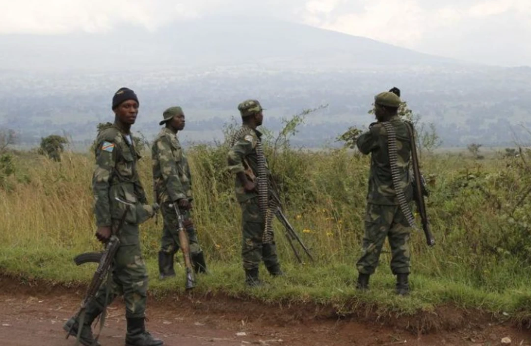 Armed group kills 20 in northeast DR Congo